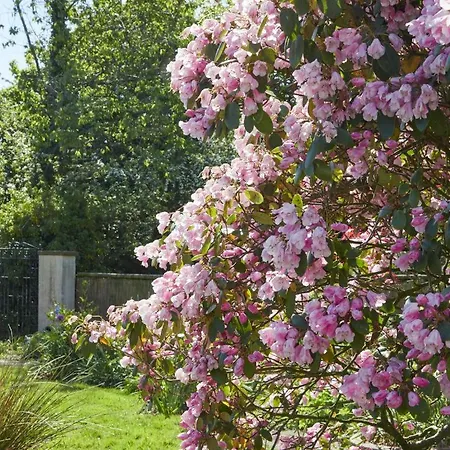 Tatil Evi 2 Bed In Bassenthwaite Sz381 *